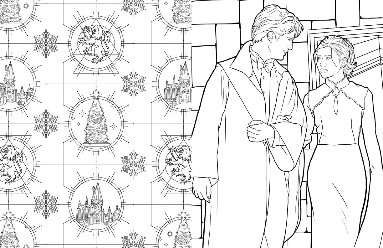 Harry Potter: Ravenclaw House Pride: The Official Coloring Book inside page 3