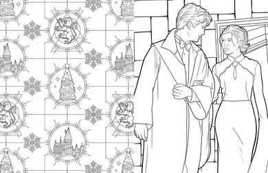 Harry Potter: Ravenclaw House Pride: The Official Coloring Book inside page 3
