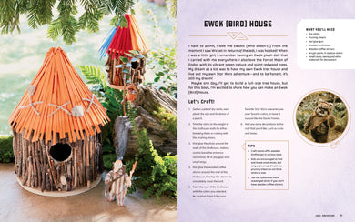 Star Wars Everyday inside page 4