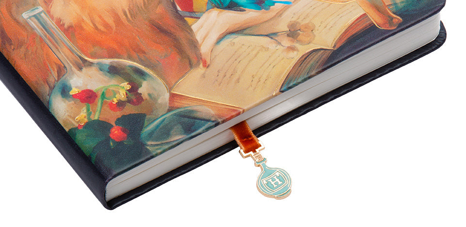 Harry Potter: Hermione Granger Journal with Ribbon Charm inside page 1