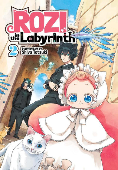 Rozi in the Labyrinth Vol. 2-Graphic novel / Comic book / Manga: genres-買書書 BuyBookBook