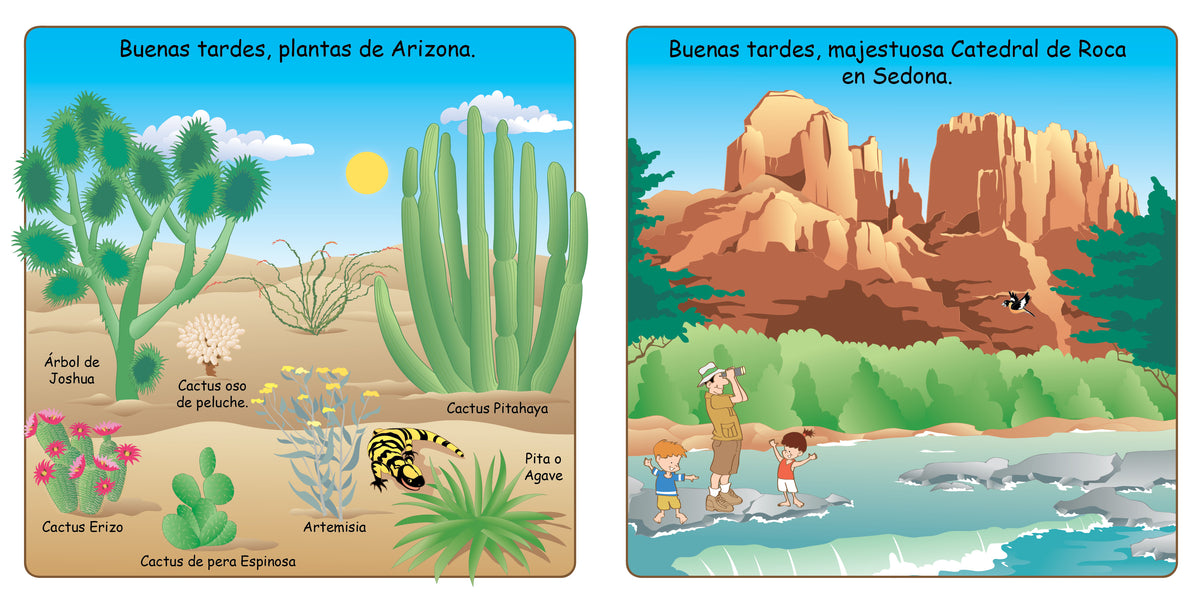 Buenas Noches, Arizona interior 3 (ISBN 9781649070135)