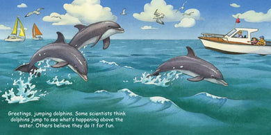 Good Night Dolphins US - Board book