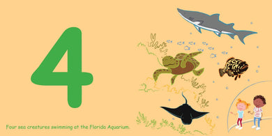 Count to Sleep Tampa Bay US - Board book