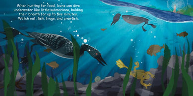 Good Night Loons US - Board book