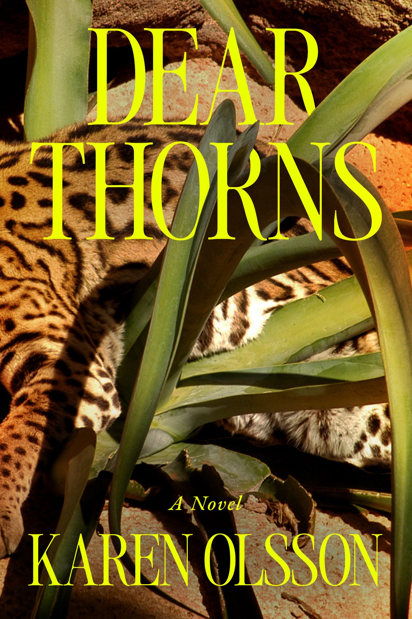 Dear Thorns
