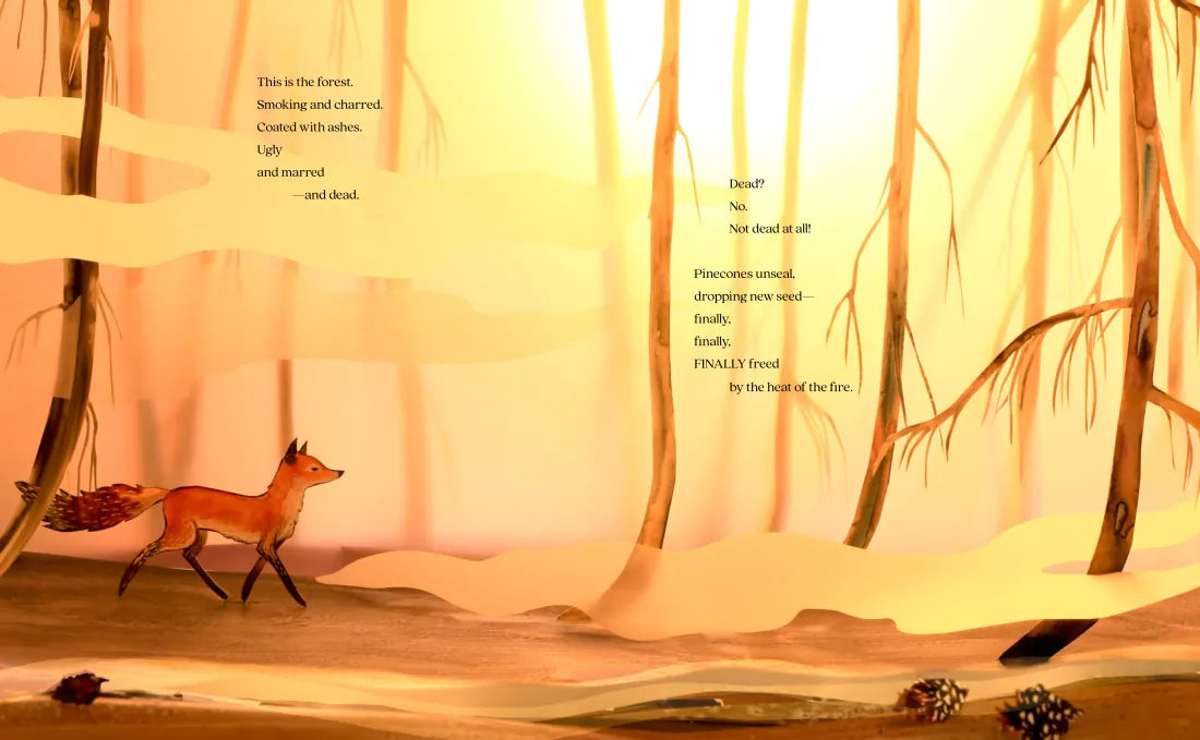 A Forest Begins Anew US - Hardback