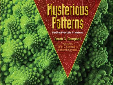 Mysterious Patterns-Children’s / Teenage general interest: Nature and animals-買書書 BuyBookBook