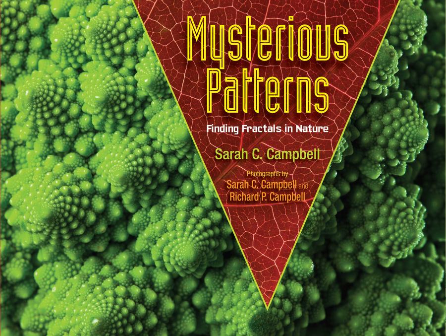 Mysterious Patterns-Children’s / Teenage general interest: Nature and animals-買書書 BuyBookBook