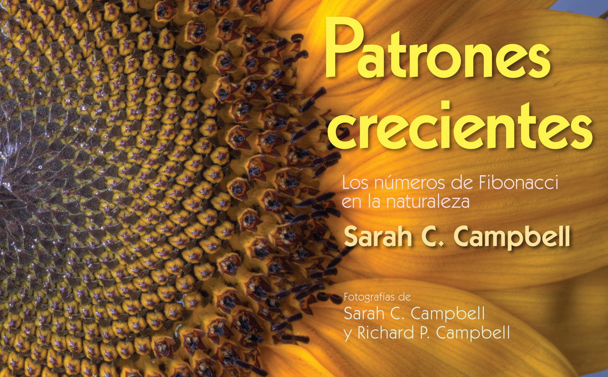 Patrones Crecientes (Growing Patterns) cover (ISBN 9781662620751)