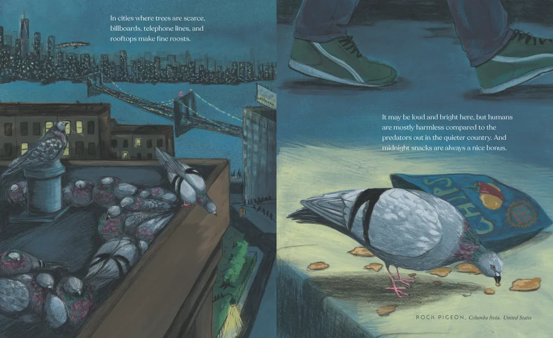 How Birds Sleep US - Hardback