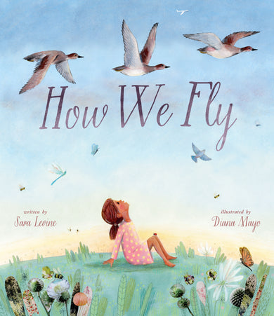 How We Fly cover (ISBN 9781662670831)