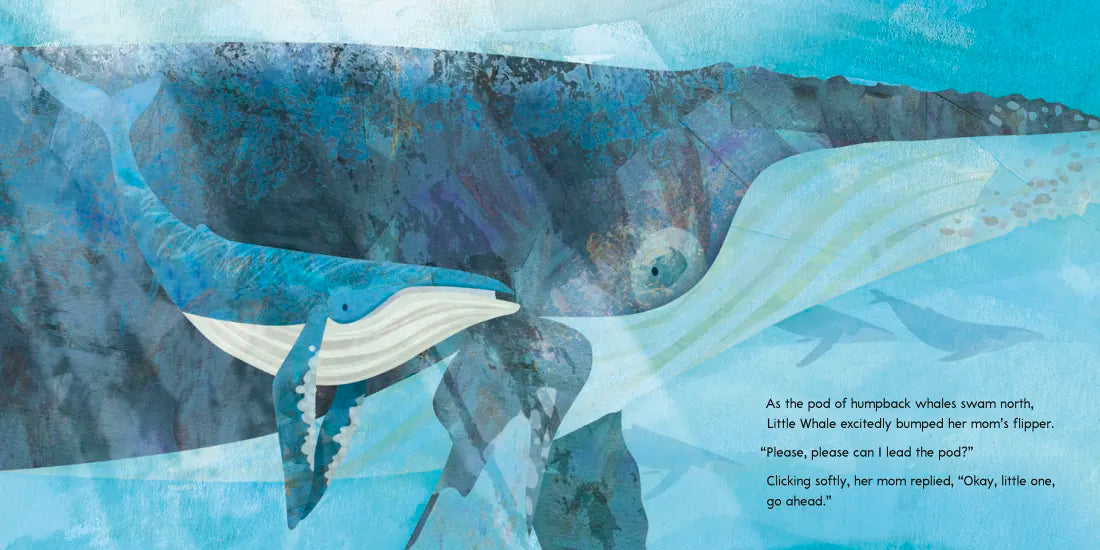 Can You Share, Little Whale? US - Hardback