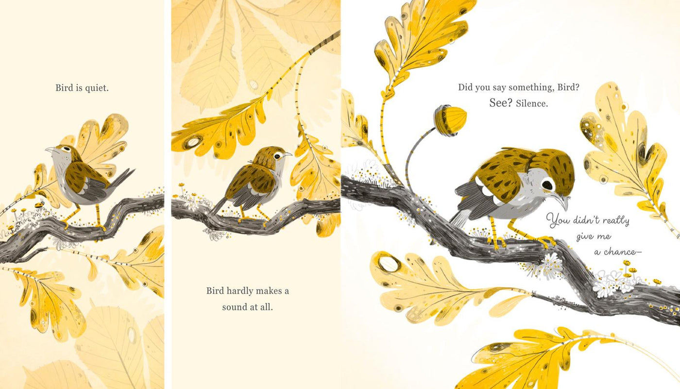 Squirrel and Bird US - Hardback
