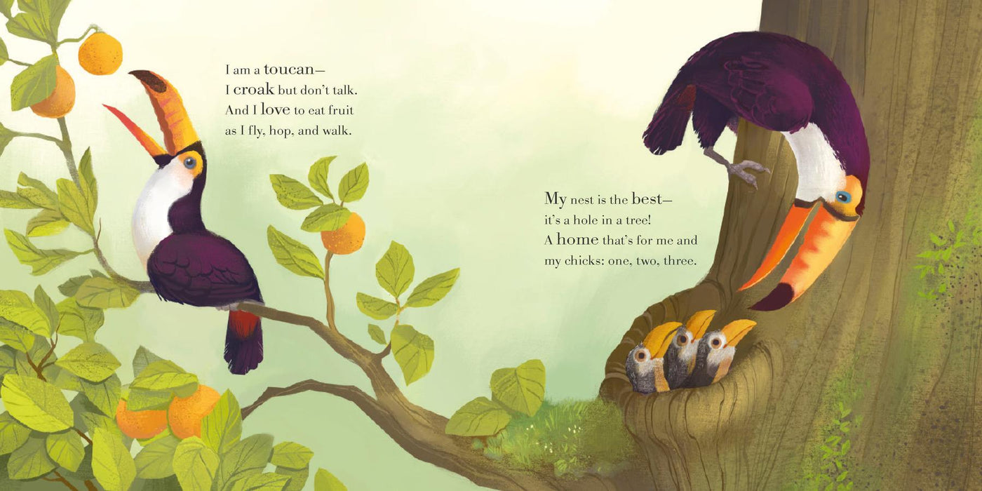 Whose Nest Is Best? US - Hardback