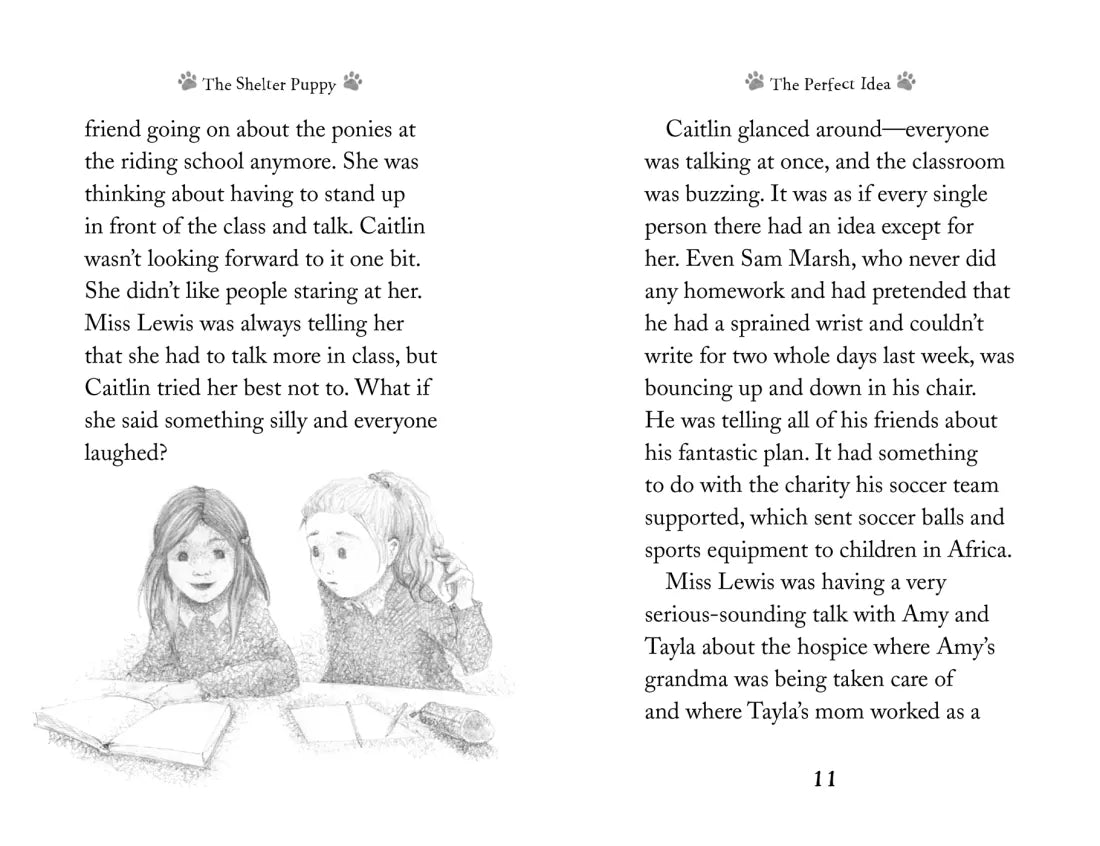 The Shelter Puppy US - Paperback / softback