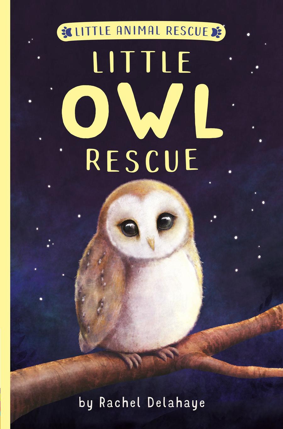 Little Owl Rescue-Children’s / Teenage fiction: Action and adventure stories-買書書 BuyBookBook