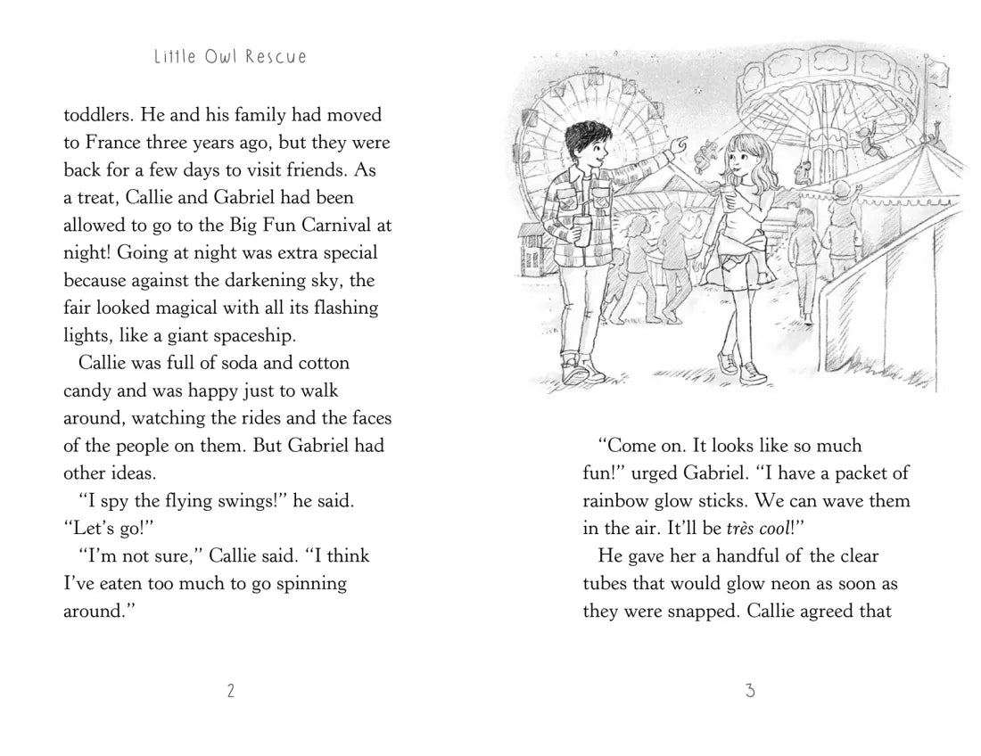 Little Owl Rescue US - Paperback / softback