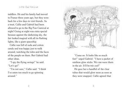 Little Owl Rescue US - Paperback / softback