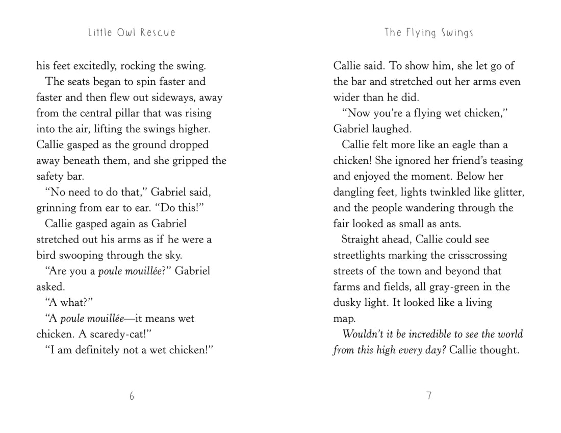 Little Owl Rescue US - Paperback / softback