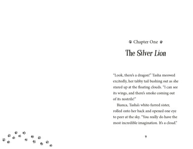 The Treasure Map US - Paperback / softback