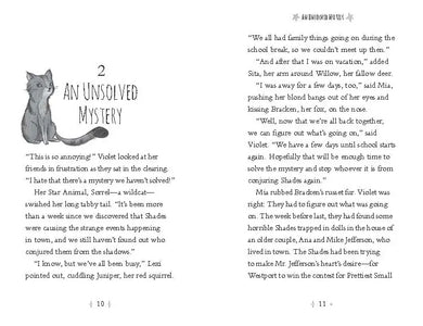 Hidden Charm US - Paperback / softback