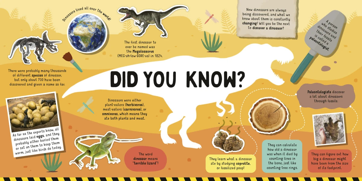 Dinosaurs! US - Paperback / softback