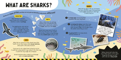 Sharks! US - Paperback / softback