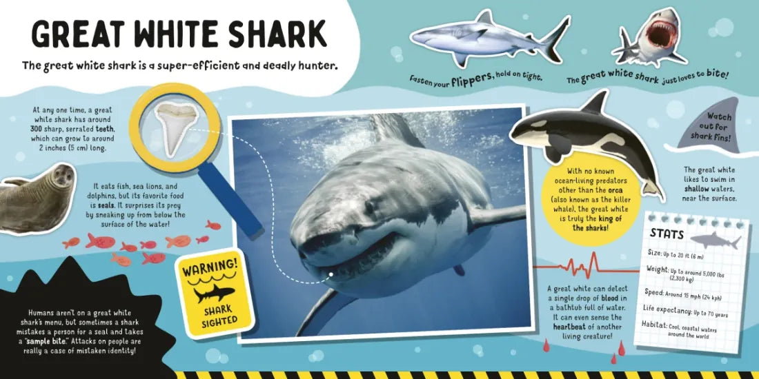 Sharks! US - Paperback / softback