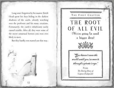 The Pirate's Eye US - Paperback / softback