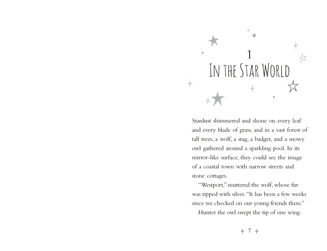 Mystic Forest US - Paperback / softback