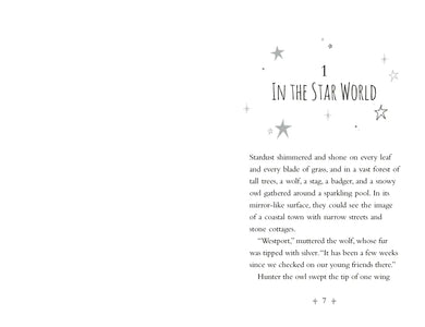 Mystic Forest US - Paperback / softback