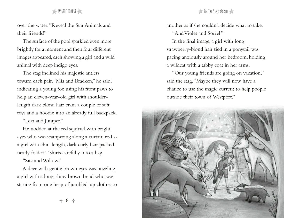 Mystic Forest US - Paperback / softback
