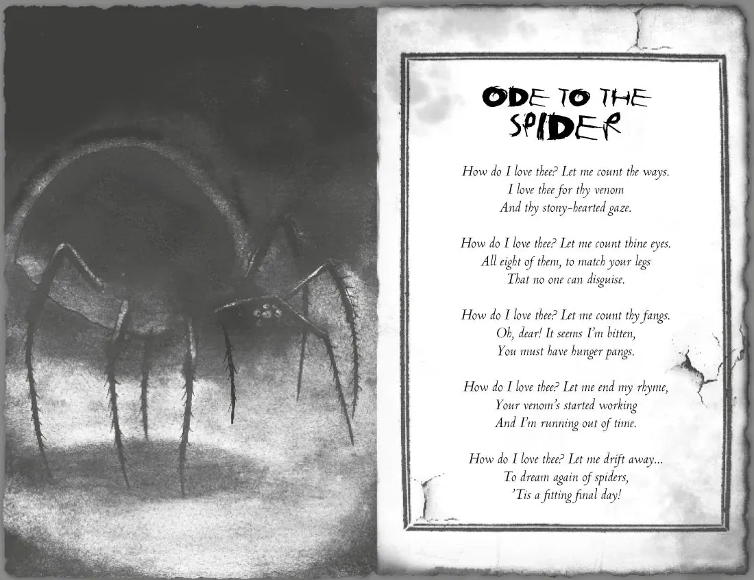 The Spider's Lair US - Paperback / softback