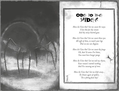 The Spider's Lair US - Paperback / softback