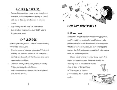 Flying High US - Paperback / softback