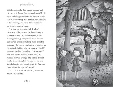 Enchanted Mist US - Paperback / softback