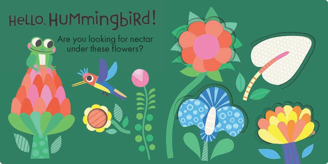 Hello, Frog US - Board book