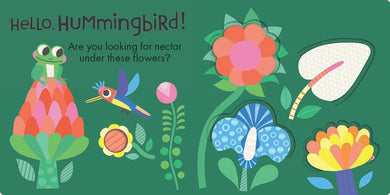 Hello, Frog US - Board book