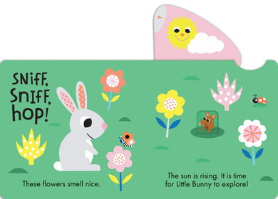 Hop, Hop! US - Board book