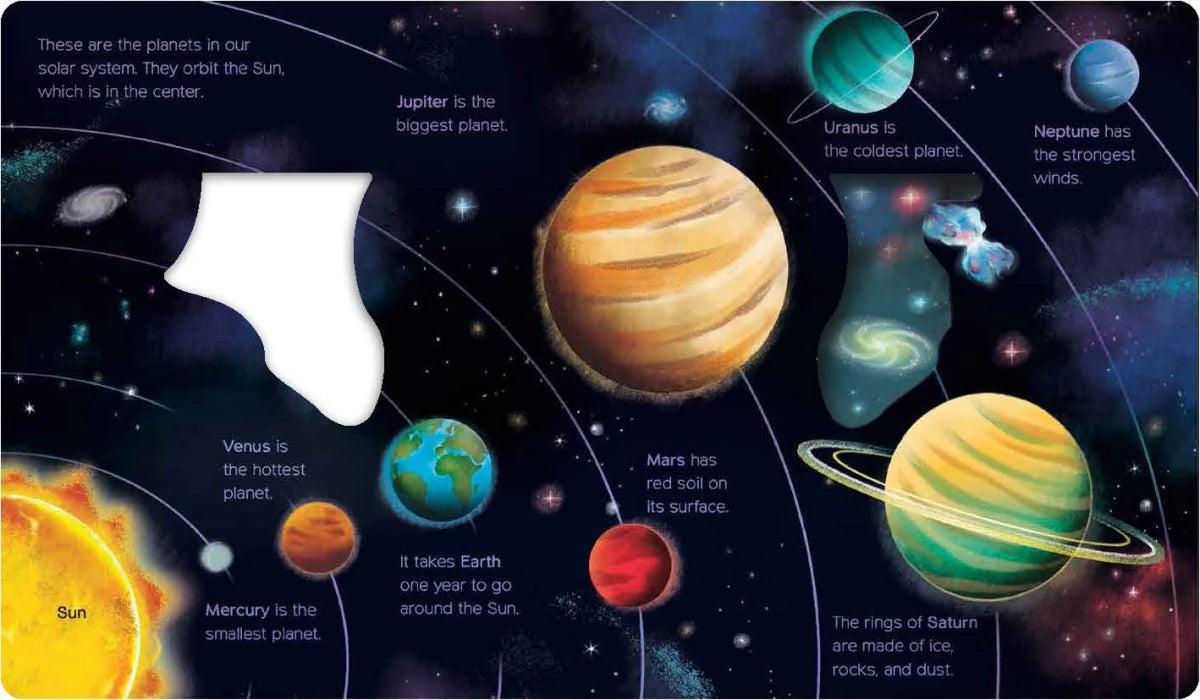 What Can You See? In Space US - Board book