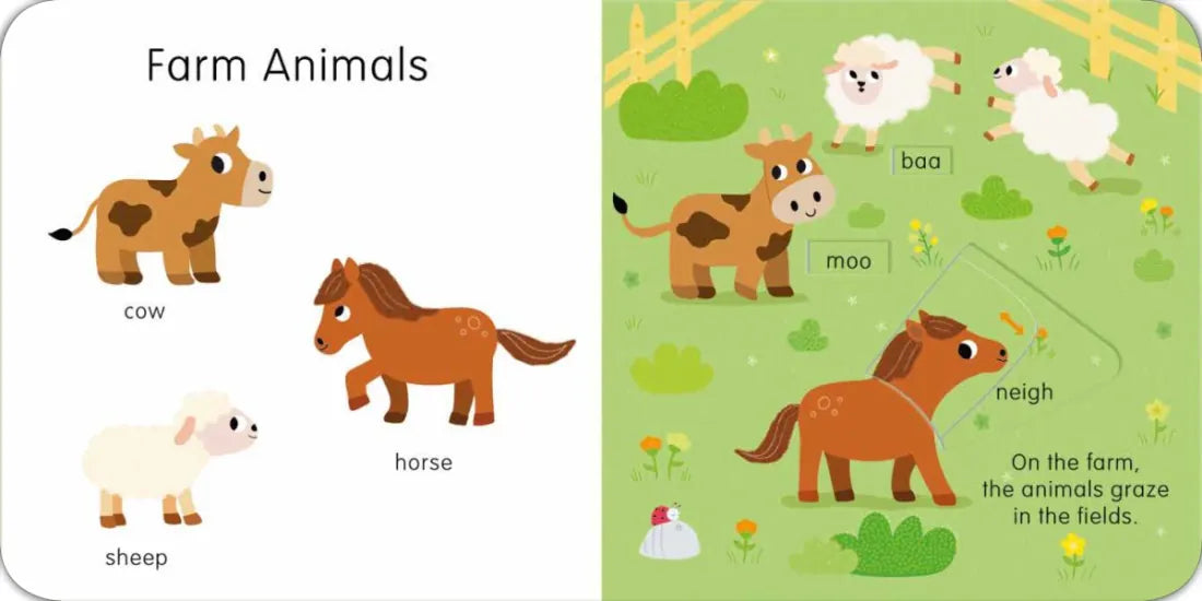 Animals: Slide and See First Words US - Board book
