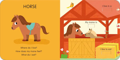 Animals: Slide and See First Words US - Board book