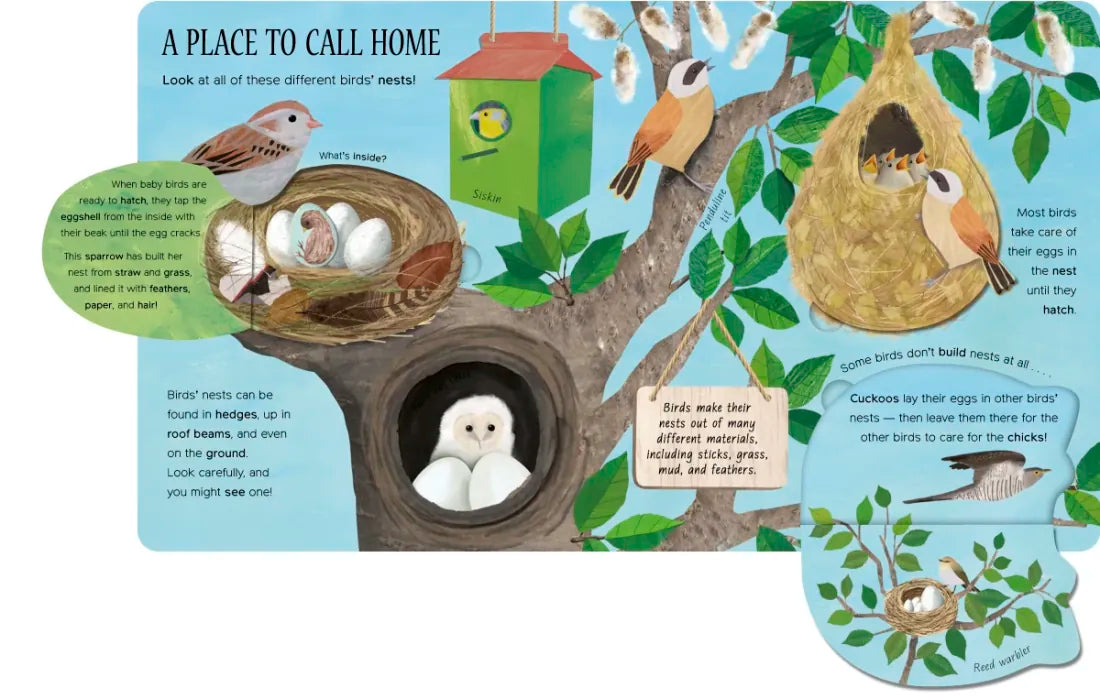 One Little Egg US - Board book