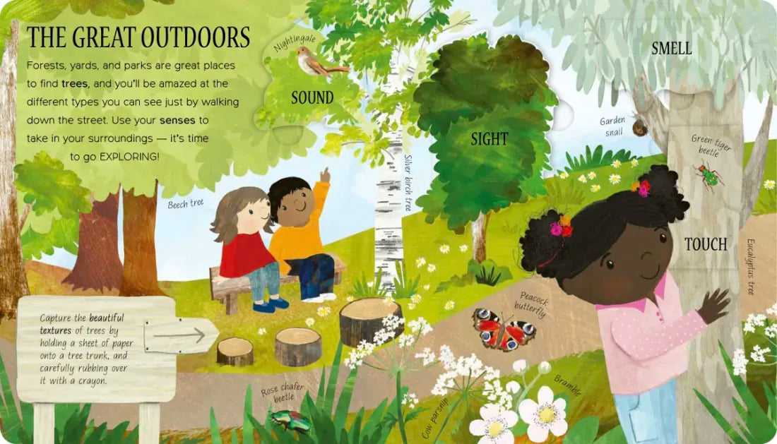 One Little Leaf US - Board book