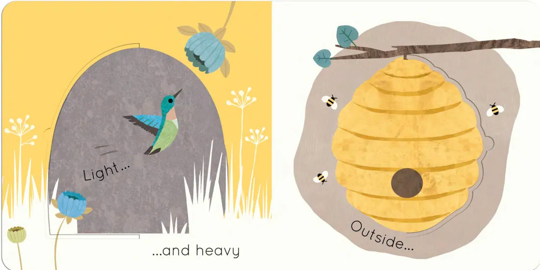 Big and Little US - Board book