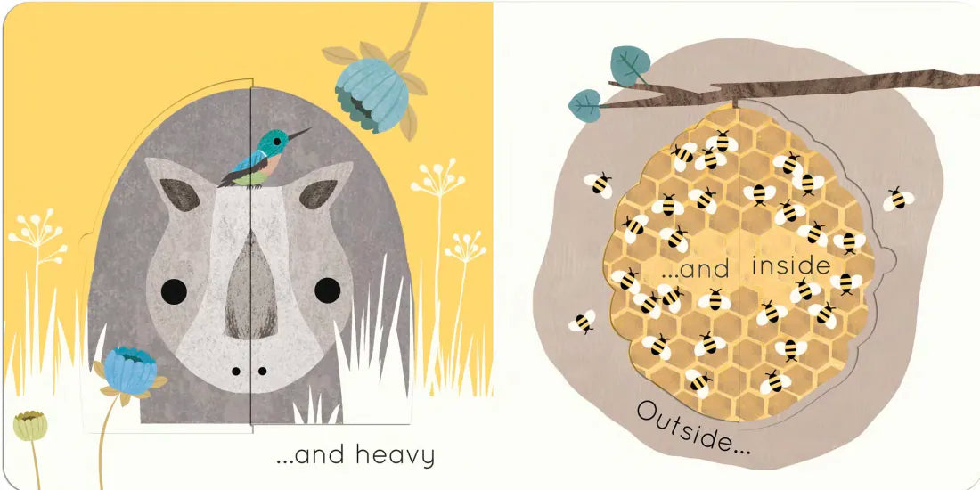 Big and Little US - Board book