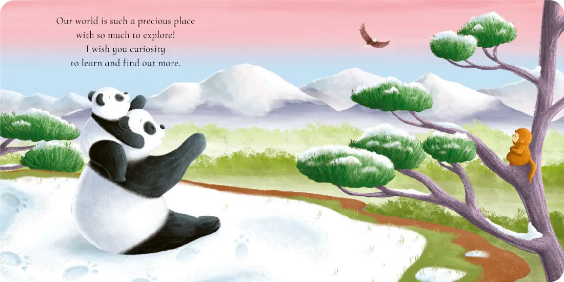 Mommy's Wishes US - Board book