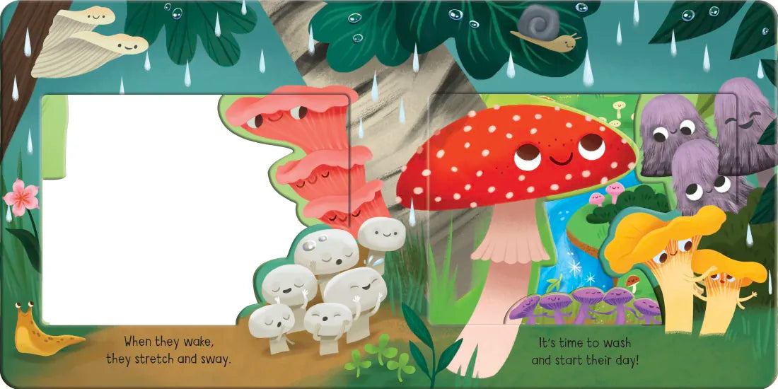 Meet the Mushrooms! US - Board book