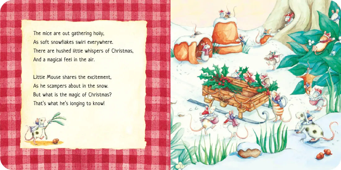 A Magical Christmas US - Board book